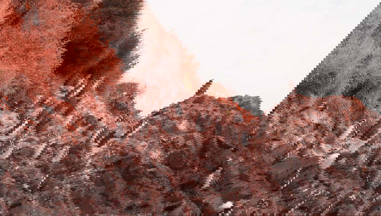 Chacao, Ancud & the Beaches of Chiloé Trip - Foto 1