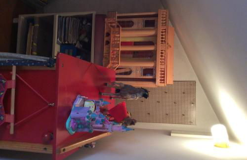 Villa Nanda a 15 minuti da Roma piscina esclusiva , villa nella natura - Photo 71