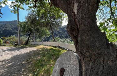 Casa Maria Host Green - Casa vacanze - Rossano - Foto 6