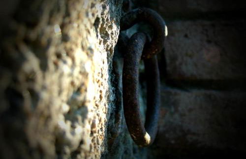 La Francigena - Foto 48