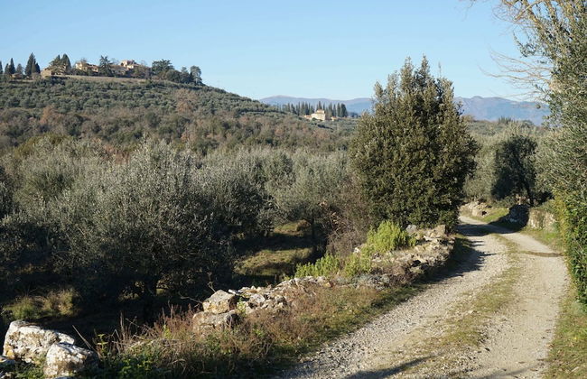 Villa in Tuscany With Pool and Wine Tasting - Foto 35