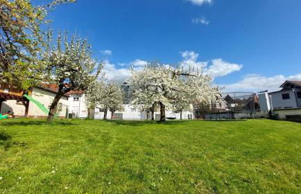 Ferienwohnung Zur Hofreite Fewo 5 - Foto 59