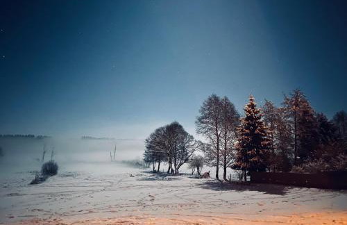 Domek Leśne Zacisze - Foto 29