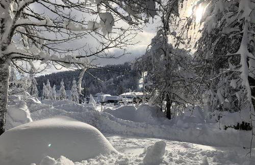 Schwarzwaldhimmel - Foto 33