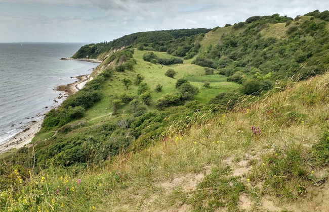 "Miona" - 725m from the sea - Foto 10