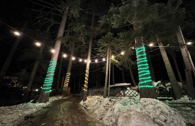 The Luxurious Forest Villa Borovets - 8 Bedroom Chalet - Foto 64