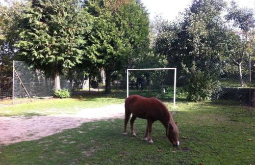 Quinta do Castro Wood House - Foto 11