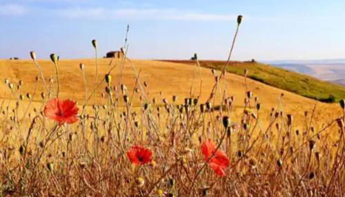 Casa San Vito - Foto 2