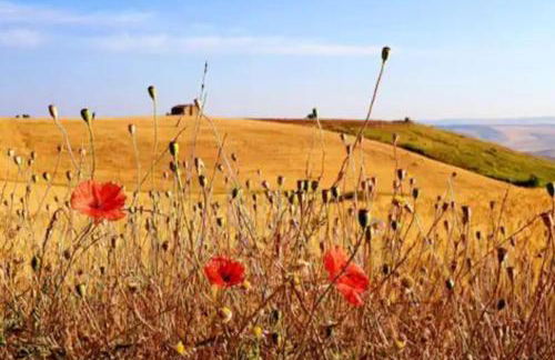 Casa San Vito - Foto 2