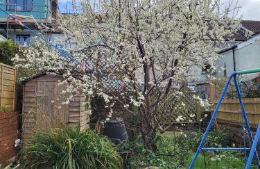 Easton's Little Secret - Foto 7