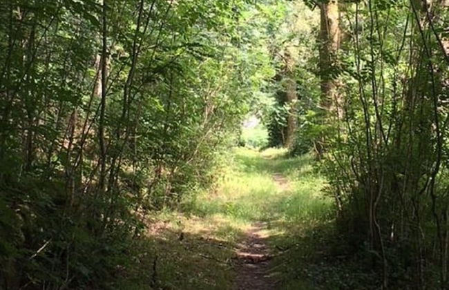 Ty Penacoed - Foto 14