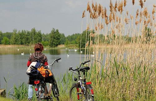 Comfortable holiday house near Lake Kummerow - Foto 39