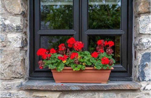 Beudy Bach - Foto 14