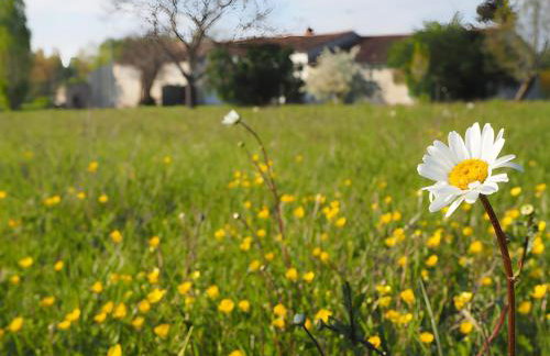 Gite L'Etable - Les Gites Du Moulin - Foto 2