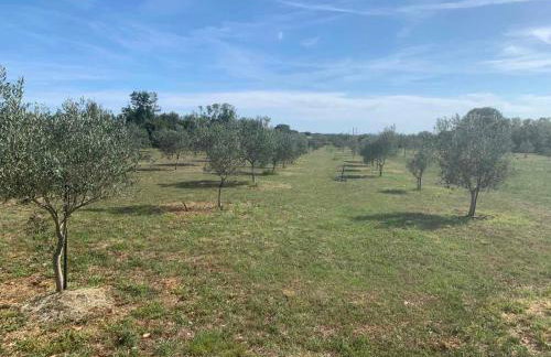 Casa La Vida - Foto 27