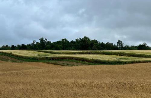 W Kręgu Natury - Foto 42