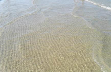 Residence Adriatico - Foto 66