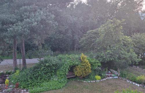 Sielanka Wydmy i Las - Foto 77