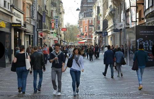 Le petit paradis de Lille - Foto 4