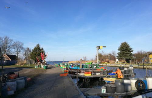 FEWO "Hafenblick" - Foto 59