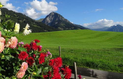 Holiday Apartment Hornerblick - Foto 27