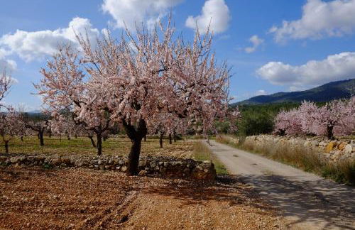Aldea Roqueta Hotel Rural - Foto 58
