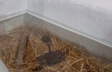 Casa Rural Caballeriza - Photo 43