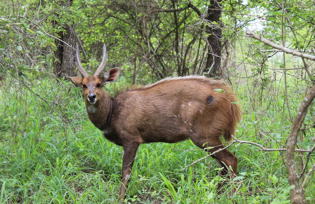 Roundhouse Marloth - Foto 17