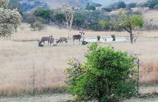 AtNature Luxury Self Catering Cottages - Foto 33