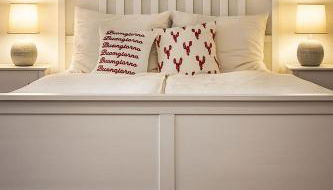 Rheinblick und Yachthafen mit privatem Stellplatz - Foto 4