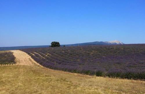 Nature & Adventure Highlights - Foto 35