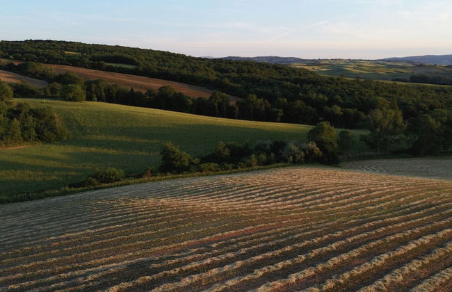 Vento Dorcia - Foto 42