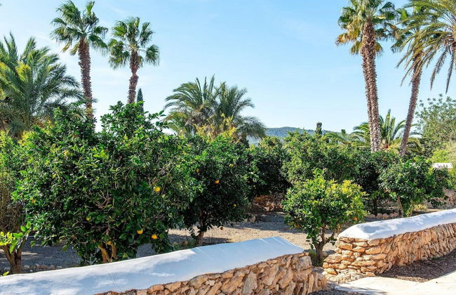 Traditional Villa With Garden - Photo 36