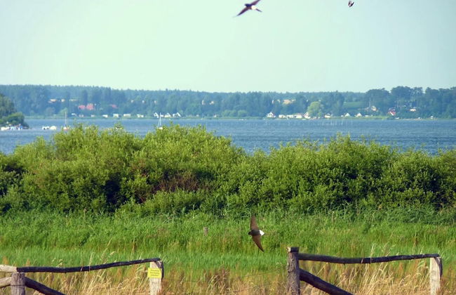 Ferienhaus Kiebitz, Plau am See - Photo 19