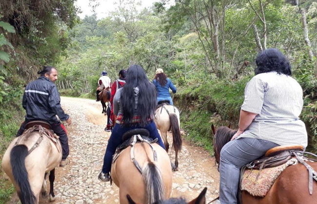 Silvia Horseback Riding Tour - Photo 1