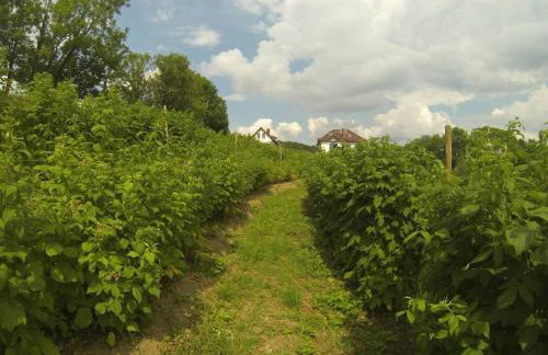 Halinówka - Twoje Miejsce w Górach Sowich - Foto 20