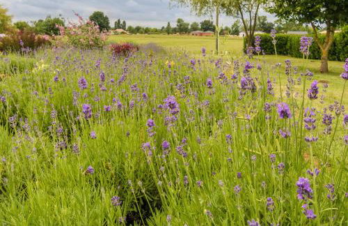 Pleasant holiday home with private pool - Foto 72