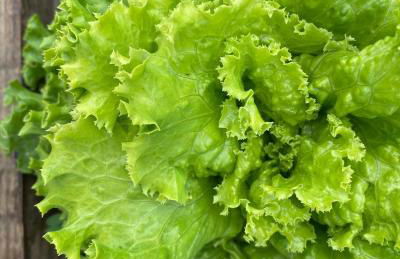 Agriturismo Pepe Rosa - Photo 35