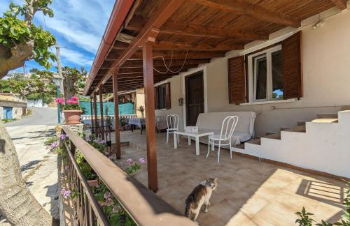 Traditional house with fresh vegetables garden - Foto 7