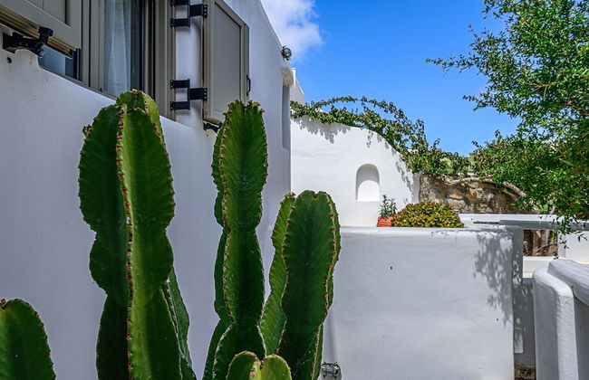 9 Muses Villas Mykonos - Photo 72