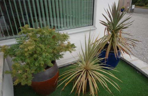 Maple Gardens Studio - Foto 26