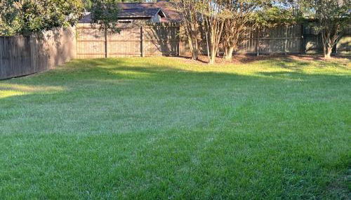 Southern Bungalow Charm - Foto 4