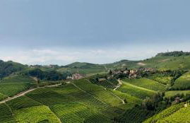 Casa Nalin - Photo 19