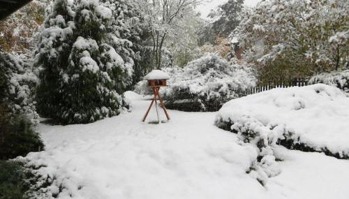 One-bedroom apartment - Foto 4, Other