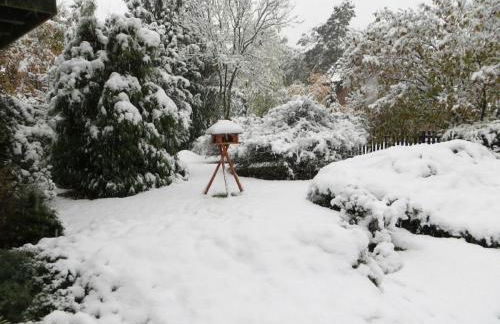 One-bedroom apartment - Foto 4
