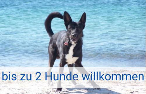 Böltser Hus Ferienwohnungen mit Strandkorb und Kamin 10 Gehminuten zum kurtaxefreien Sandstrand - Foto 15