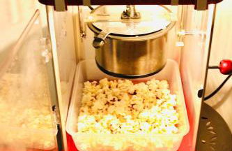 Falkaunest cozy Apartment mit Sauna am Feldberg - Foto 21