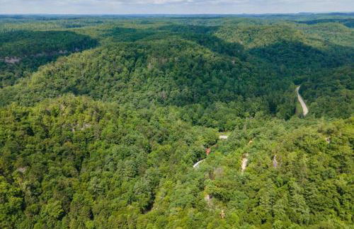 Hot Tub & WiFi - Angel's View - Red River Gorge KY - Foto 11