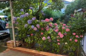 Near Messe, Airport, City Center with Private Garden and Parking - Foto 21