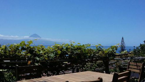 Casa do Zé - AL - Photo 5